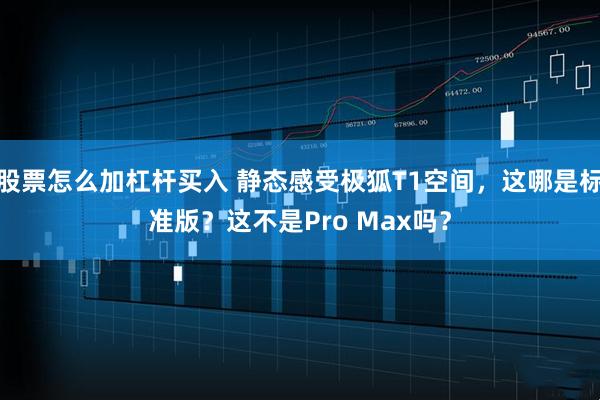 股票怎么加杠杆买入 静态感受极狐T1空间，这哪是标准版？这不是Pro Max吗？