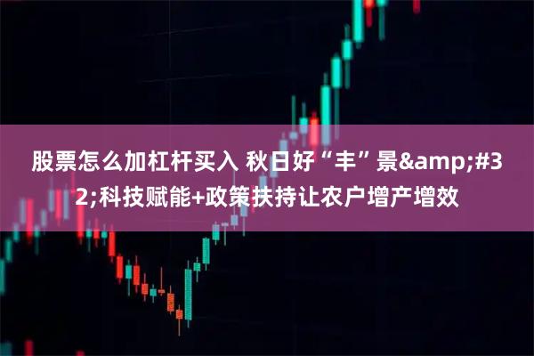 股票怎么加杠杆买入 秋日好“丰”景 科技赋能+政策扶持让农户增产增效